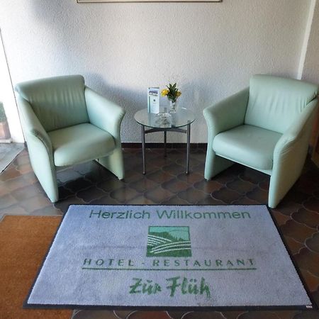 Hotel zur Flüh Bad Säckingen Exterior foto